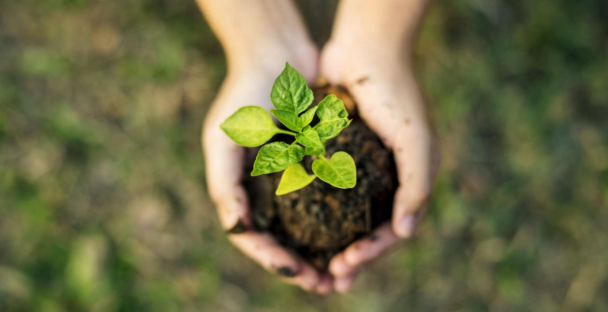 サンマルクグループは、持続可能な社会の実現に貢献するとともに、経営理念である「私たちはお客様にとって最高のひとときを創造します。」の実現に向けて、グループ全体でサステナビリティ活動に取り組んでいます。その取り組みの一部をご紹介いたします。